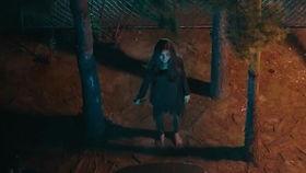 网传的恐怖吃瓜视频,揭秘网络恐怖视频背后的真相