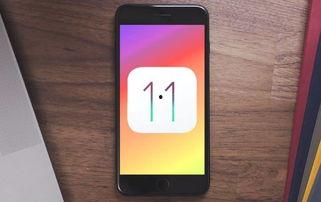 黑瓜吃料网ios下载,畅享便捷美食资讯，轻松掌握美食潮流