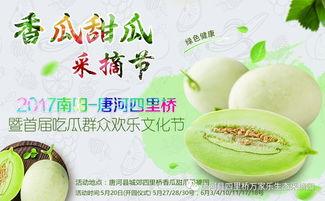 网红大咖吃瓜,揭秘娱乐圈幕后真相