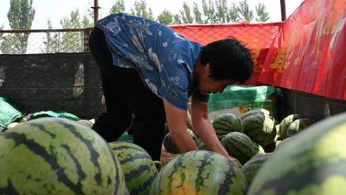 下峪口网红吃瓜事件,揭秘网络舆论背后的真相