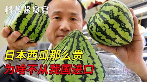 吃瓜718官网进不去了,揭秘背后真相