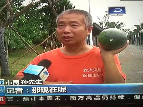 网红吃瓜热点事件最新,揭秘娱乐圈最新热点事件背后的真相