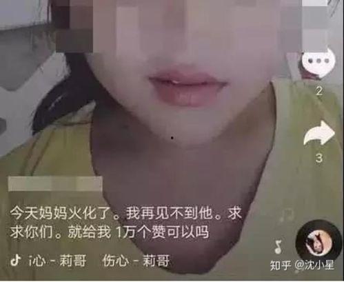 董赫女网红吃瓜视频播放,揭秘娱乐圈幕后真相