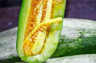 那些吃瓜的网红,揭秘网络红人的八卦世界