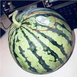 山西太原网红吃瓜,揭秘山西美食圈的热辣故事