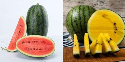 孟雨彤网爆吃瓜