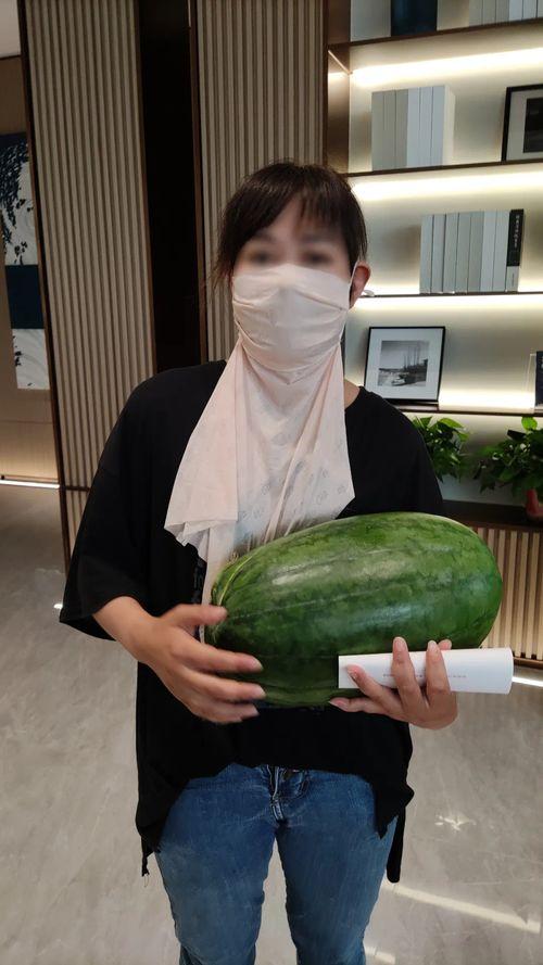 吃瓜网今日吃瓜热门大瓜谭竹,吃瓜网今日热门大瓜，揭秘娱乐圈风云人物背后的故事