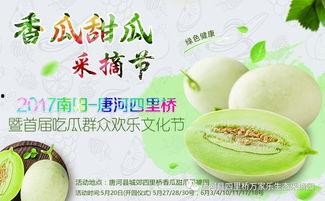 网红吃瓜和大咖,揭秘娱乐圈幕后真相