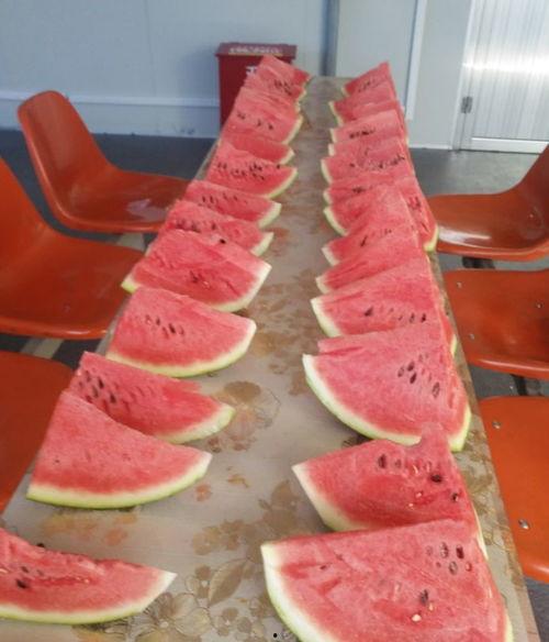 网红吃瓜和大咖,揭秘娱乐圈幕后真相