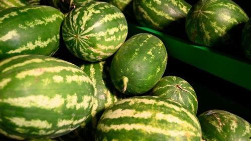 临夏网红吃瓜事件,揭秘网络舆论背后的真相与争议