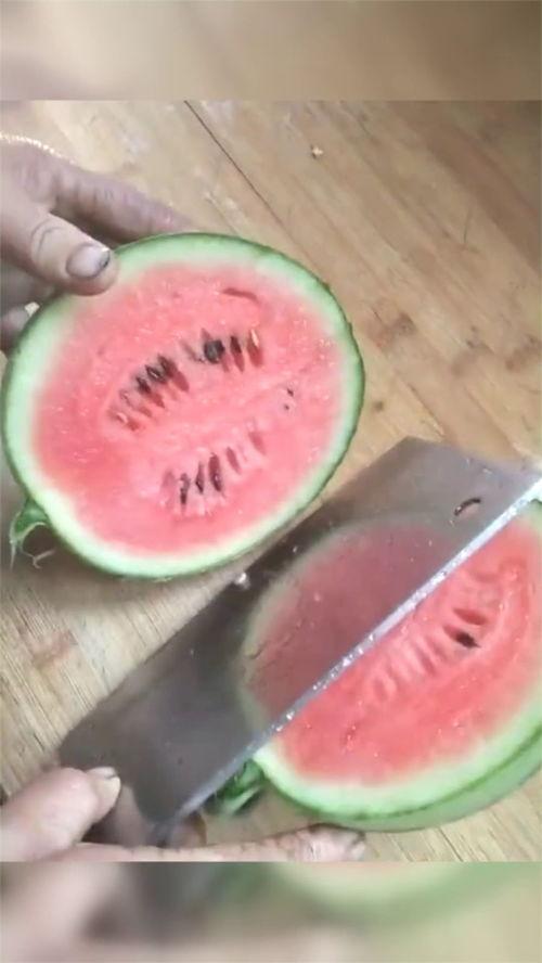 吃瓜给五块钱的网红有哪些,盘点那些因吃瓜而爆红的网红们