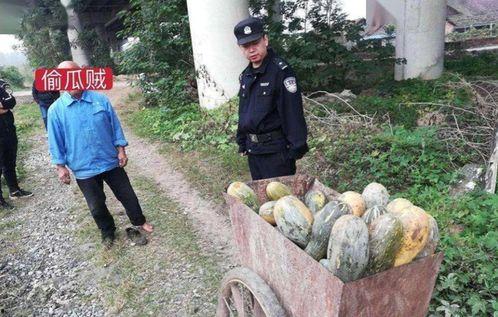 延安网红吃瓜事件真相,真相与反思