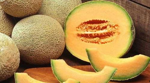 江西网红鹅吃哈密瓜,哈密瓜成新宠！