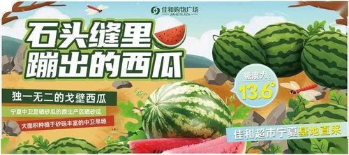 吃瓜网今日大赛聚集地,热点赛事一网打尽