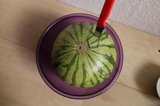 五二吃瓜网,揭秘娱乐圈最新热点，带你畅游八卦海洋