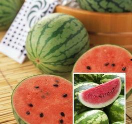 五二吃瓜网,揭秘娱乐圈最新热点，带你畅游八卦海洋