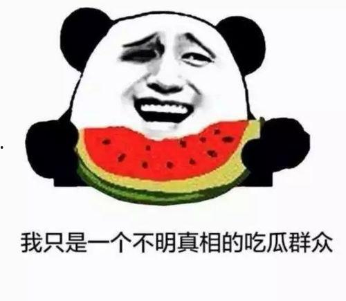 吃瓜网咋回事,热门事件背后的真相与争议