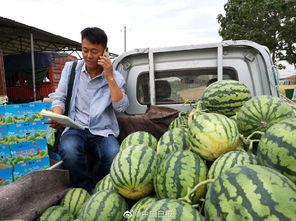 河南搞笑网红吃瓜视频,笑料百出，带你领略网络幽默魅力