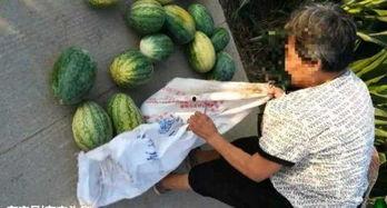 吃瓜最新事件网红新沂,揭秘背后真相与网络舆论风暴