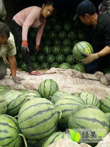 吃瓜最新事件网红新沂,揭秘背后真相与网络舆论风暴