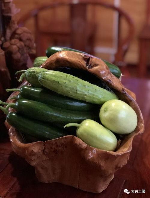 临夏网红吃瓜,揭秘当地美食背后的故事