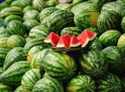 vx网红吃瓜免费入口