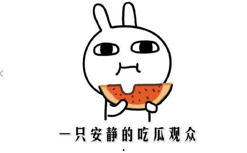 吃瓜事件小网红,揭秘吃瓜小网红的爆红之路