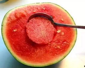 武都城网红吃瓜群微信号,揭秘城市生活趣味瞬间