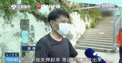 李明德直播有哪些网红吃瓜,网红齐聚一堂，吃瓜盛宴精彩纷呈