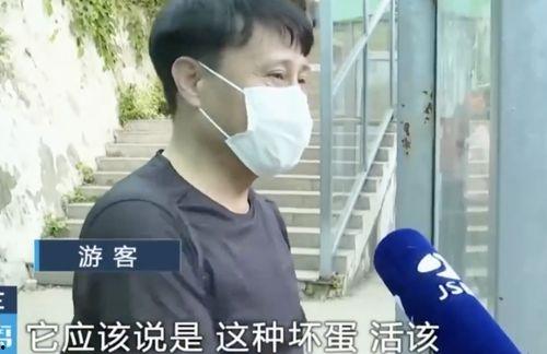 李明德直播有哪些网红吃瓜,网红齐聚一堂，吃瓜盛宴精彩纷呈