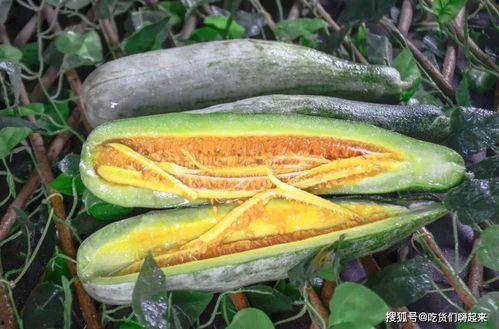 白银矿业网红吃瓜,吃瓜现场直击，揭秘矿工生活