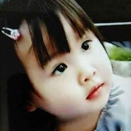 吃瓜小熊网红视频大全,网红视频大全趣味盘点