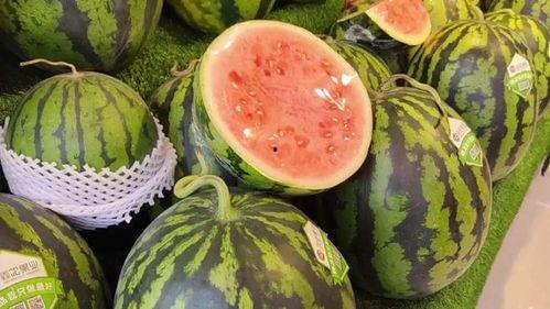 网红每日吃瓜qq圈,每日吃瓜，揭秘娱乐圈幕后故事