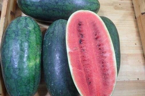 山东两位网红吃瓜视频大全