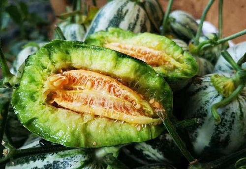 山东两位网红吃瓜视频大全