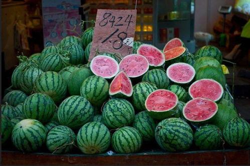 朝阳人民吃瓜网