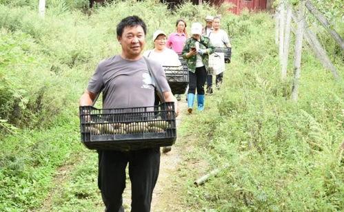 平乡网红吃瓜事件始末是什么,从热议到真相大白