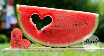 吃瓜网免费,吃瓜网带你畅游明星幕后生活