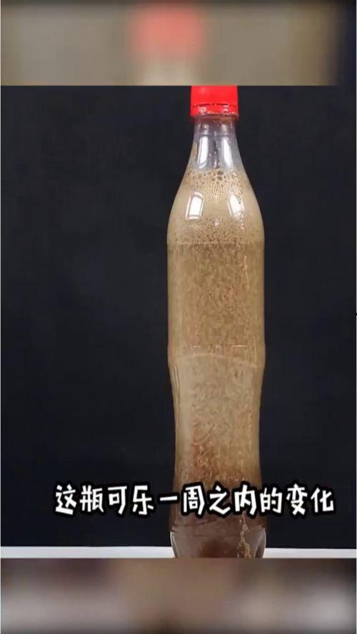 网红吃瓜一块钱,一块钱见证娱乐圈风云变幻