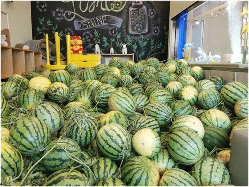 一涵吃瓜网盘,揭秘娱乐圈幕后故事，带你走进明星私生活